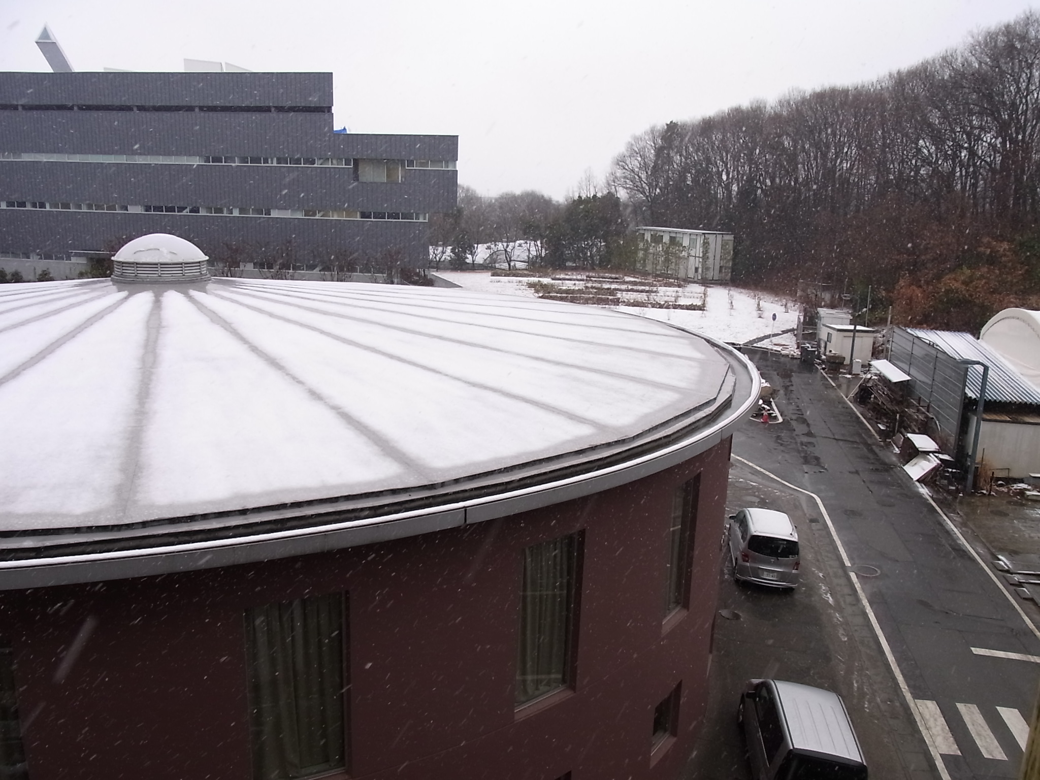 雪降るキャンパス